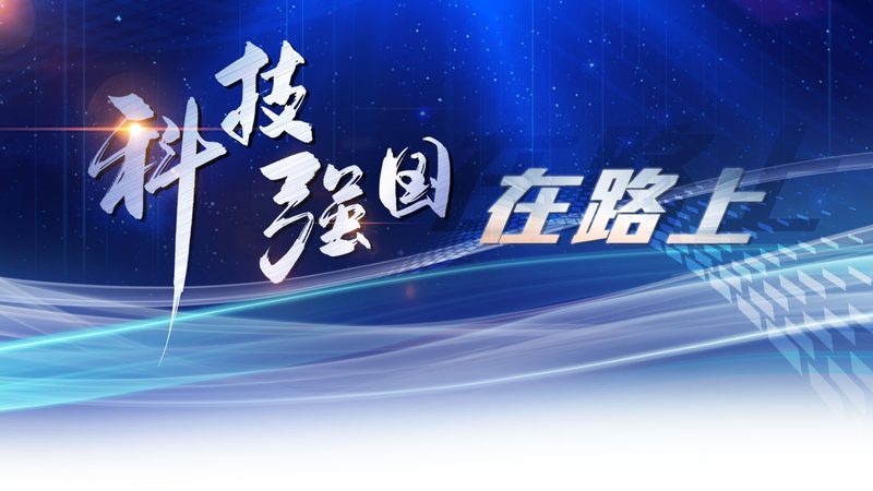 数据湖仓一体架构：构建高效数据处理的基石**